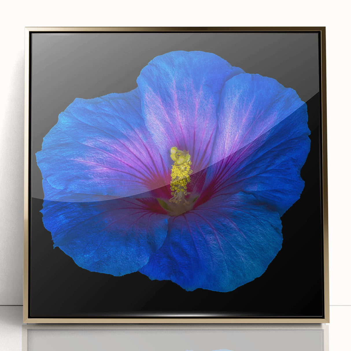Framed wall art featuring a vibrant botanical hibiscus design with gold accents, showcasing intricate floral details on an acrylic surface, ideal for home decor.