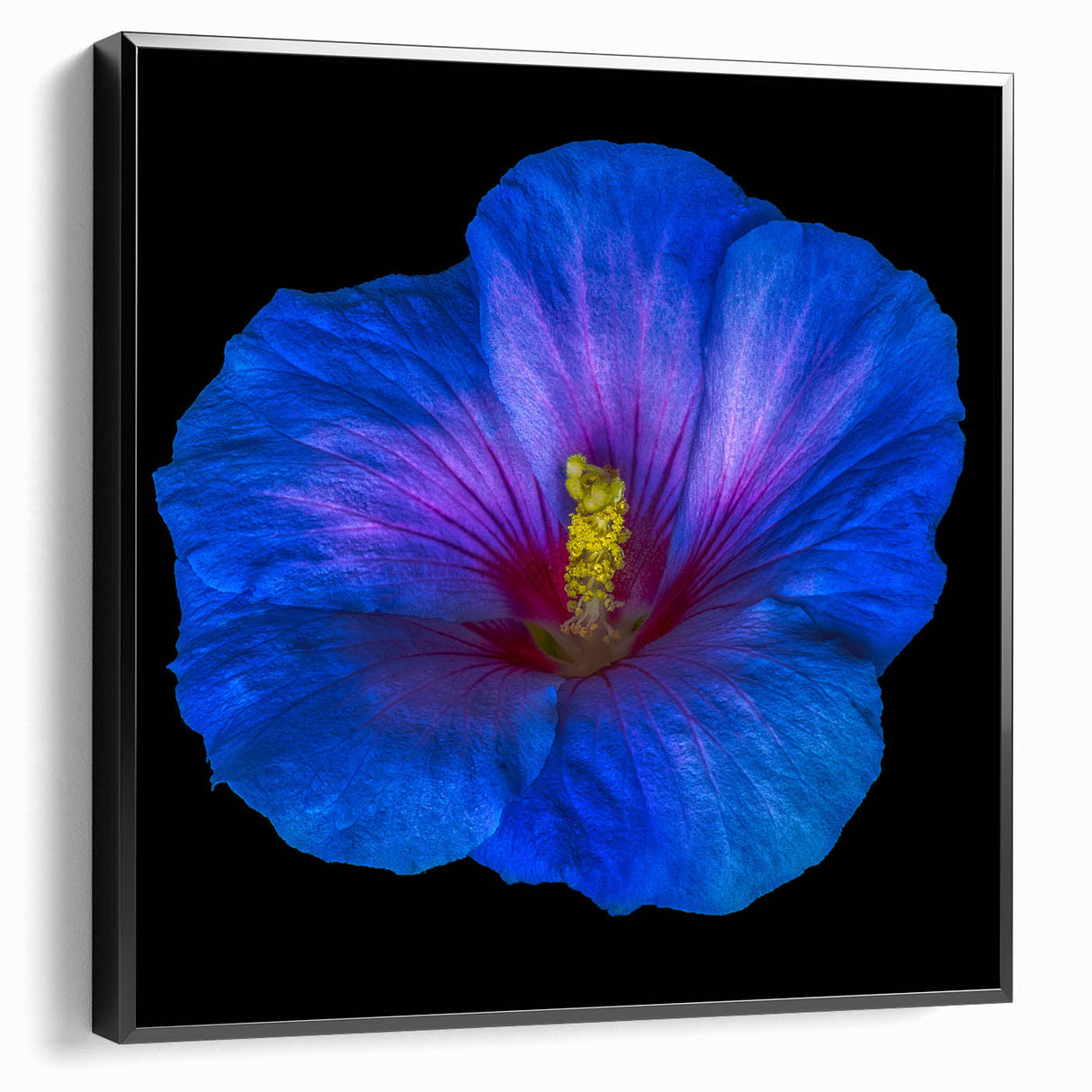 Framed wall art featuring a vibrant botanical hibiscus design, showcasing rich colors and intricate details, presented from a black side view to highlight its depth.
