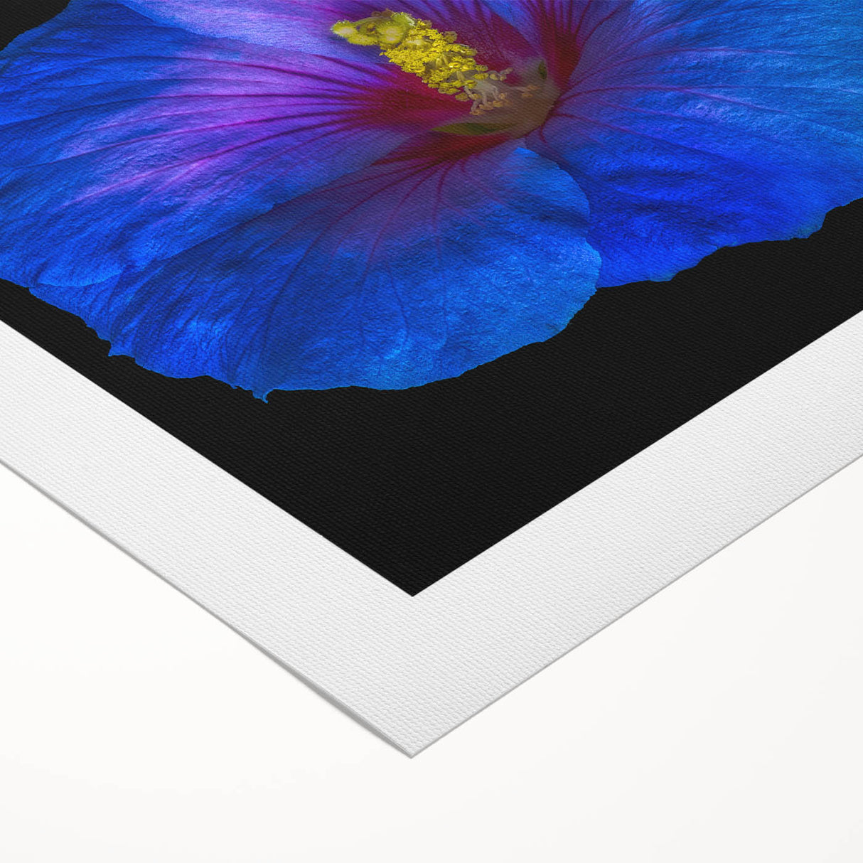 Vibrant rolled canvas wall art showcasing a detailed hibiscus botanical design, ideal for home decor, featuring rich colors and intricate floral patterns.