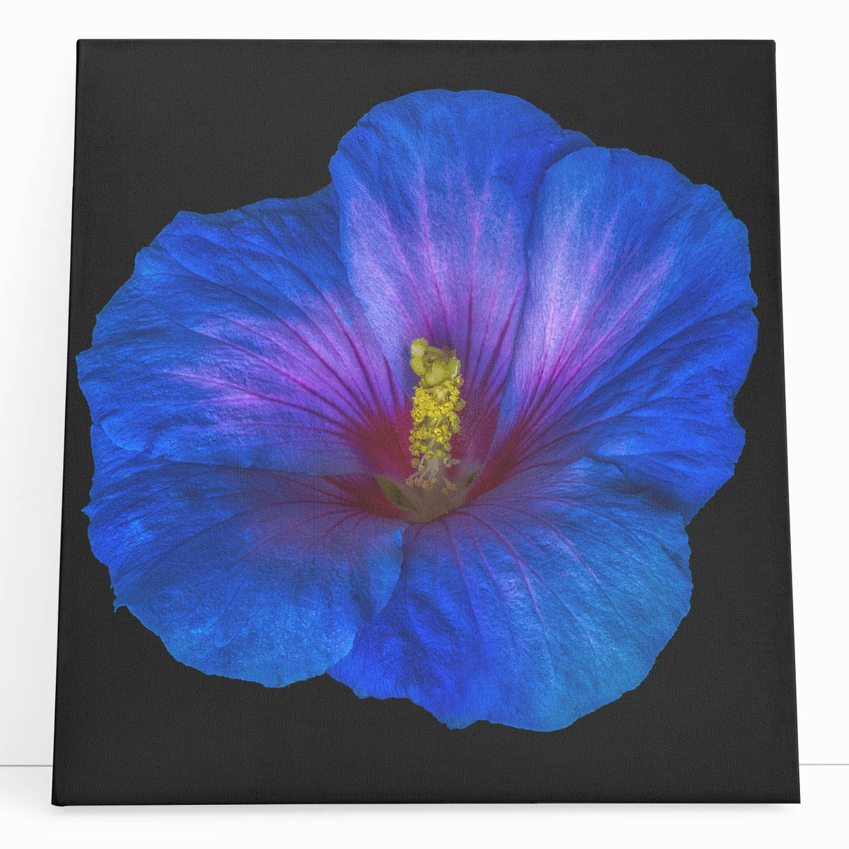 Stretched canvas wall art featuring a vibrant hibiscus botanical design, showcasing rich colors and intricate details. Perfect for enhancing home decor in a tropical or nature-themed setting.