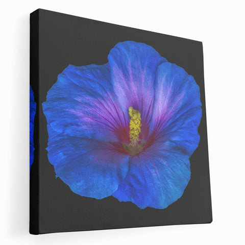 Side view of a stretched canvas featuring a vibrant hibiscus botanical design, showcasing intricate details and rich colors, perfect for home decor enhancement.