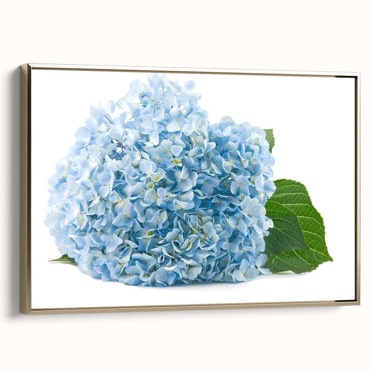 Framed wall art showcasing a botanical hydrangea design on canvas, featuring a gold frame with a side view. Perfect for adding elegance to home decor.
