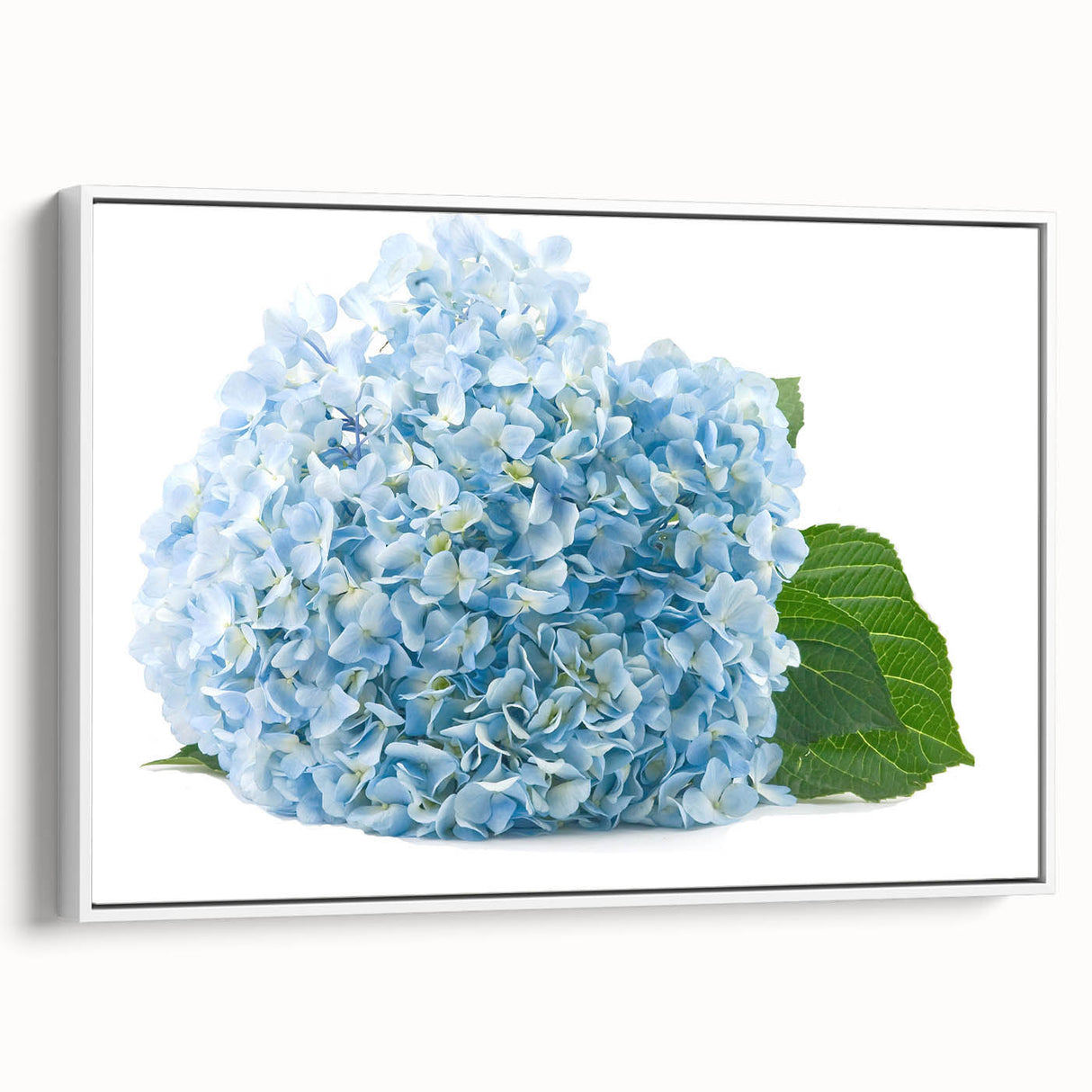 Framed canvas wall art showcasing a botanical design of vibrant hydrangeas in soft pastel colors, displayed from a side angle against a white backdrop.