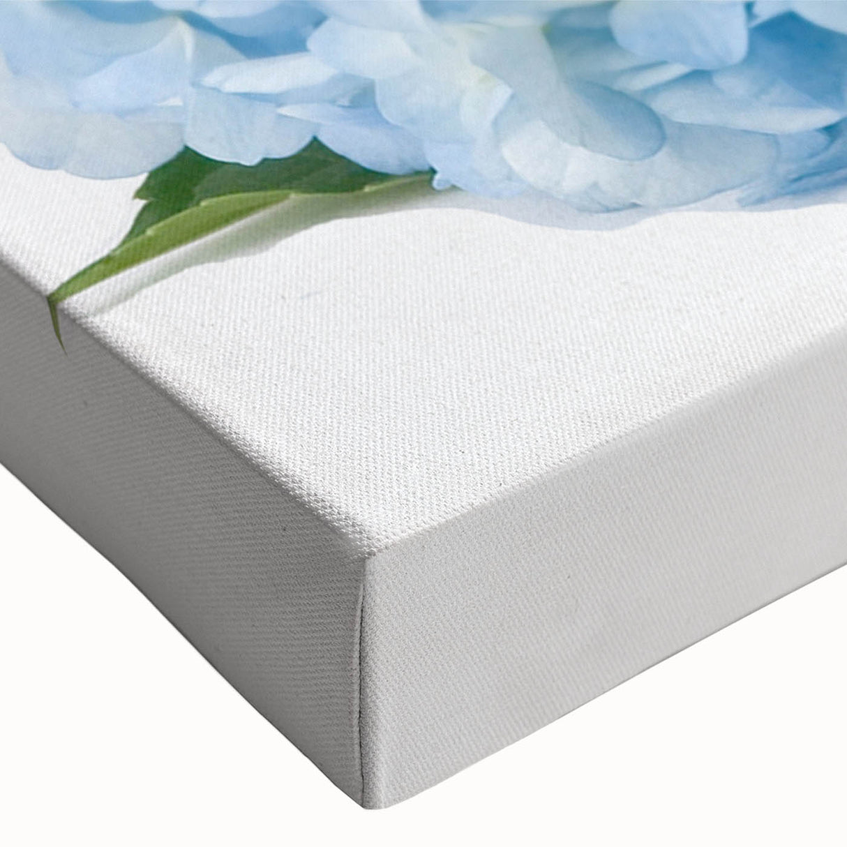 Close-up of a vibrant botanical hydrangea wall art design on stretched canvas, showcasing intricate floral details and rich colors, perfect for home decor.