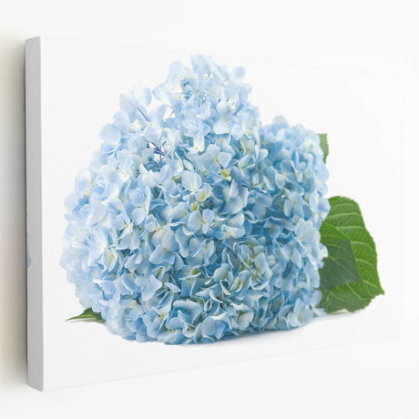 Hydrangea wall art design on stretched canvas, showcasing vibrant blue and white flowers with a textured finish, ideal for home decor enhancement and botanical theme.