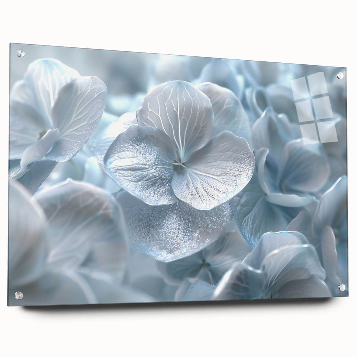 Hydrangea wall art print displayed in an elegant acrylic frame, showcasing vibrant blue and pink flowers with intricate botanical details, perfect for home decor.