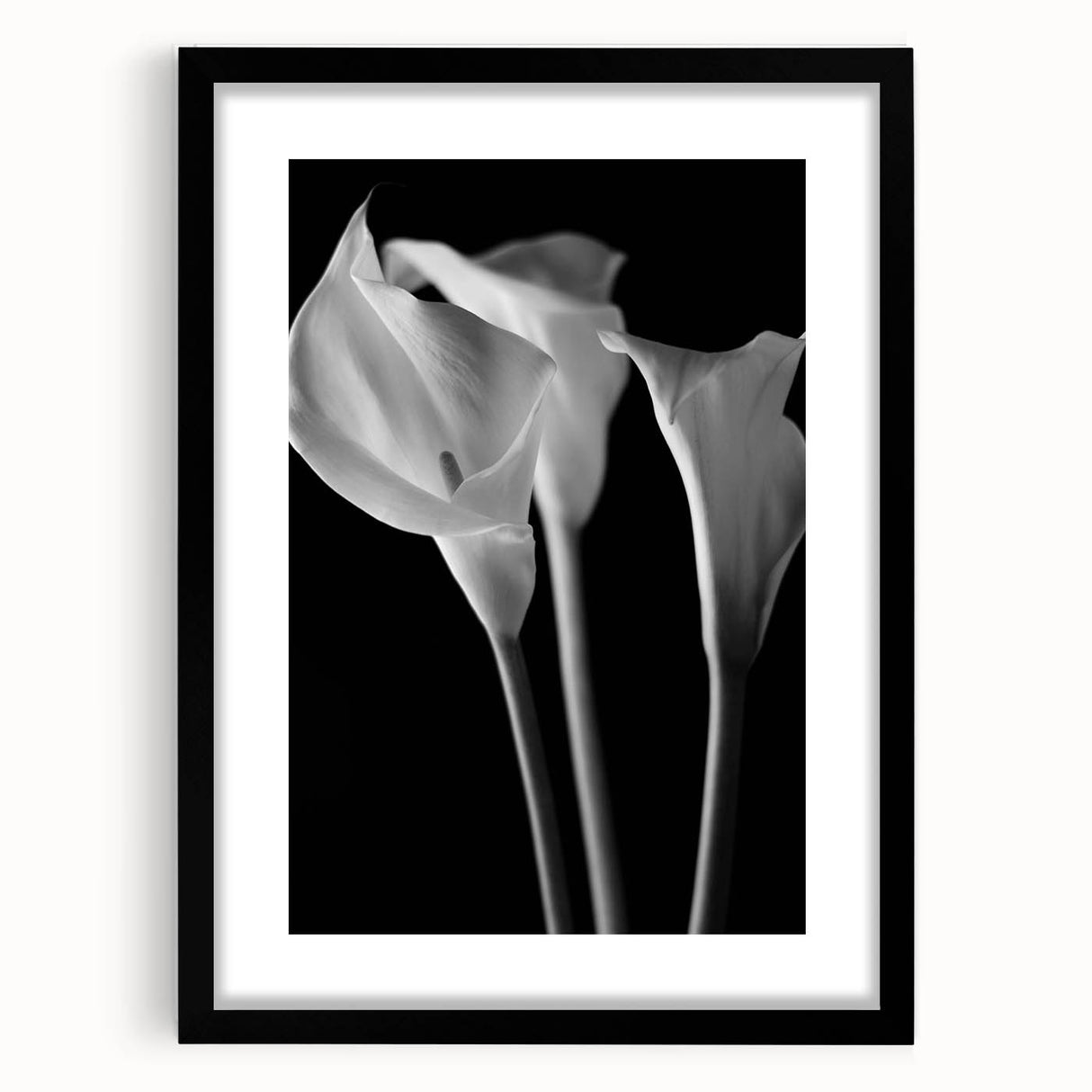 Framed botanical wall art featuring a vibrant lily design in a black frame with a mat, ideal for home decor. Perfect for floral enthusiasts and art lovers.