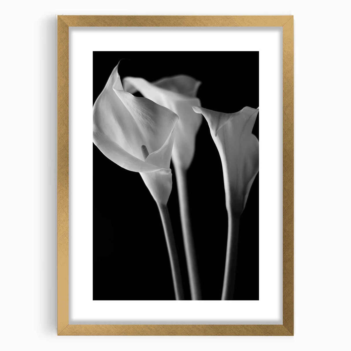 Botanical wall art showcasing a vibrant gold-framed lily design, elegantly matted for a sophisticated look, perfect for enhancing home decor with a touch of nature.