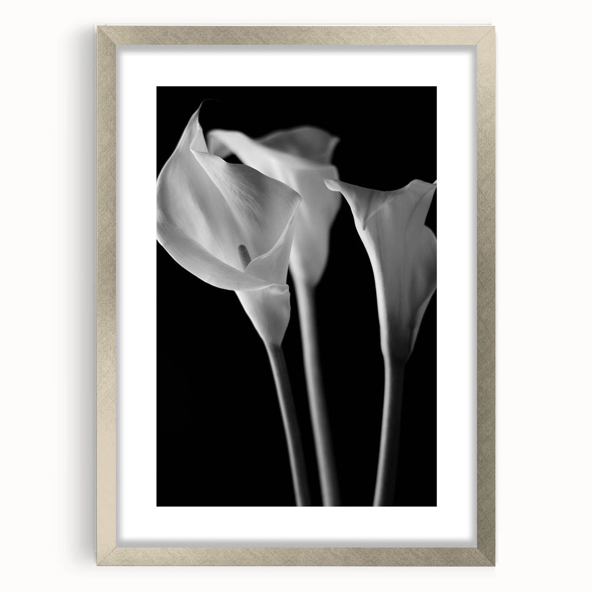 Elegant silver-framed wall art featuring a botanical lily design, showcasing intricate floral details and a sophisticated mat, perfect for home decor enhancement.