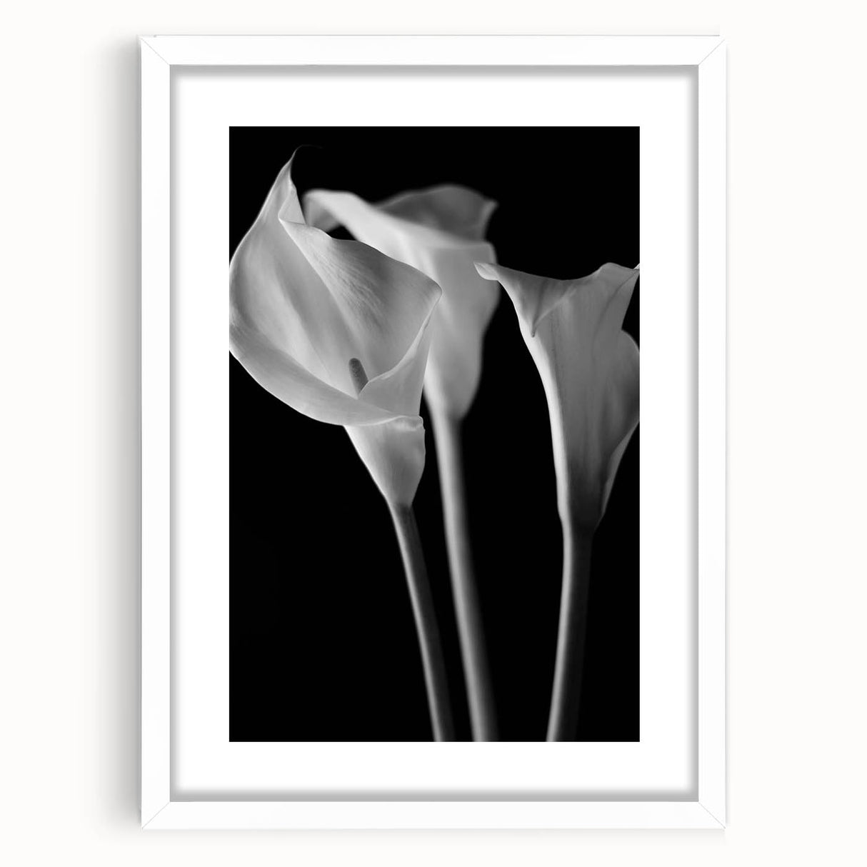 Elegant botanical wall art featuring a detailed white lily design, framed with a mat, showcased against a clean white background, perfect for home decor.