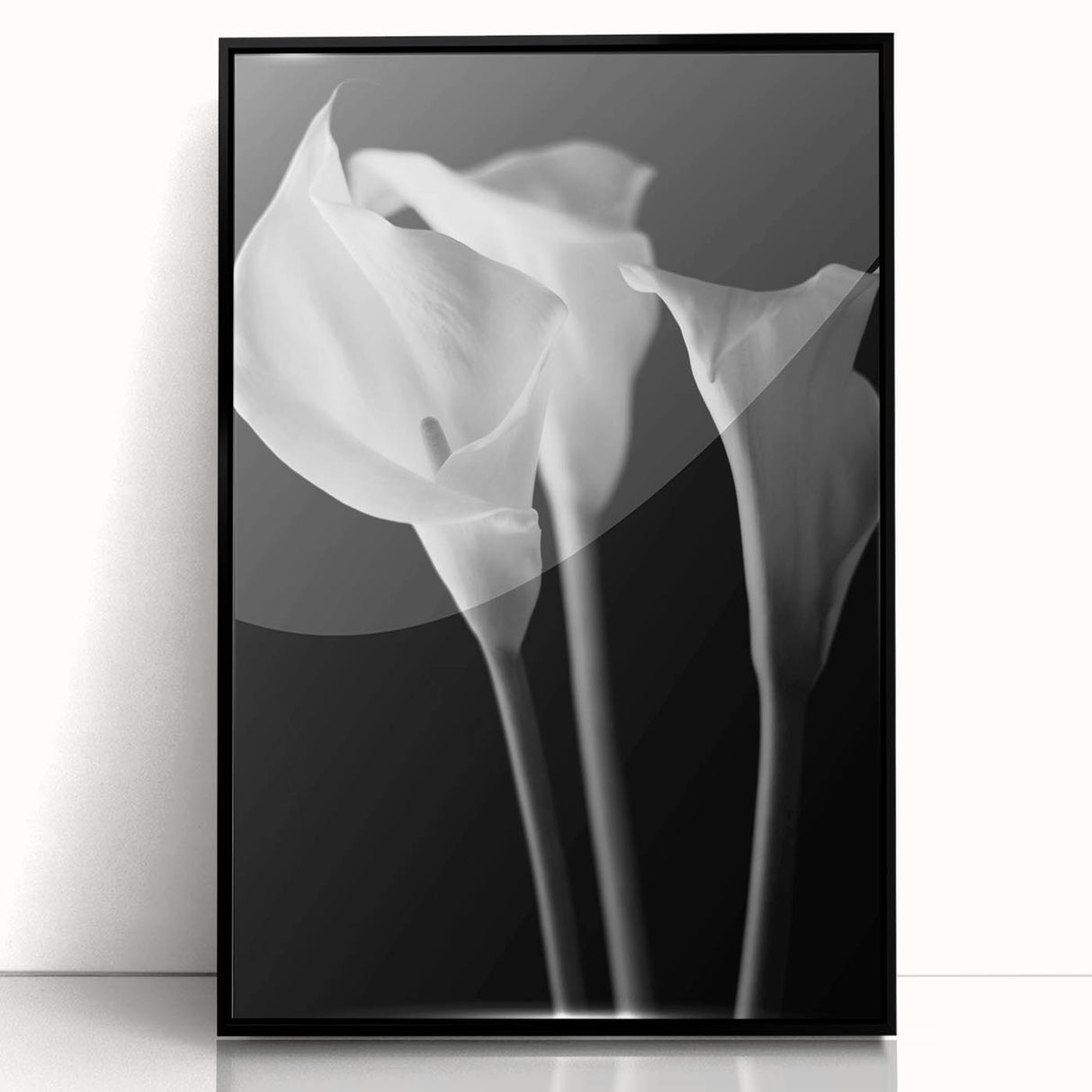 Framed wall art showcasing a botanical lily design in vibrant colors, set in a sleek black frame, perfect for modern home decor and floral enthusiasts.