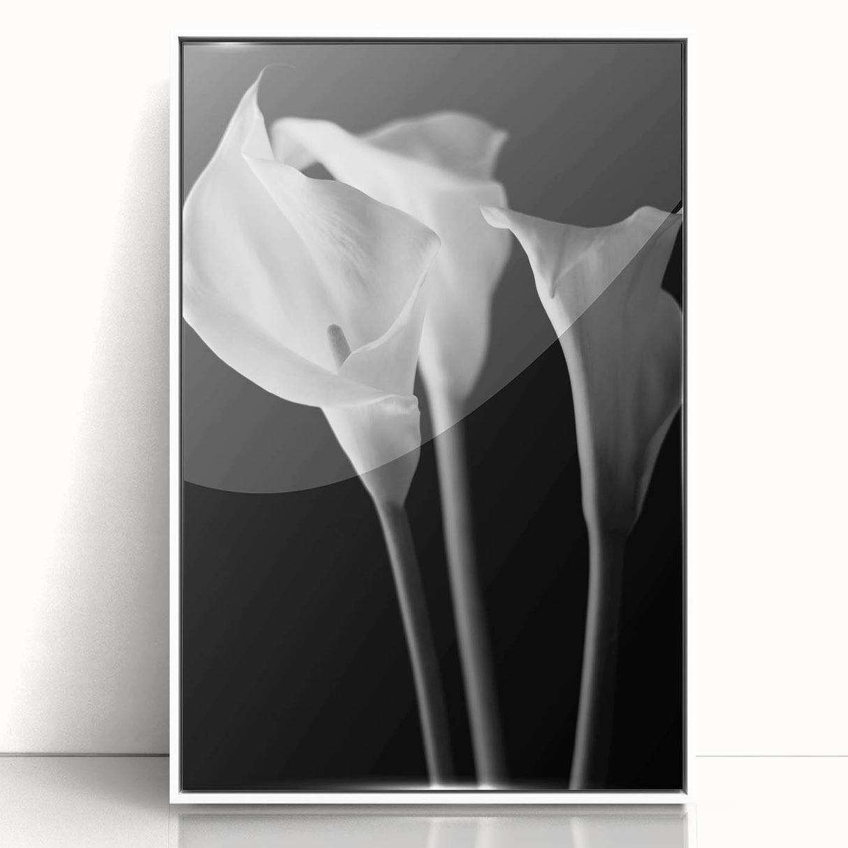 Framed wall art featuring a botanical lily design in vibrant colors, elegantly displayed with a white frame, perfect for enhancing home decor aesthetics.