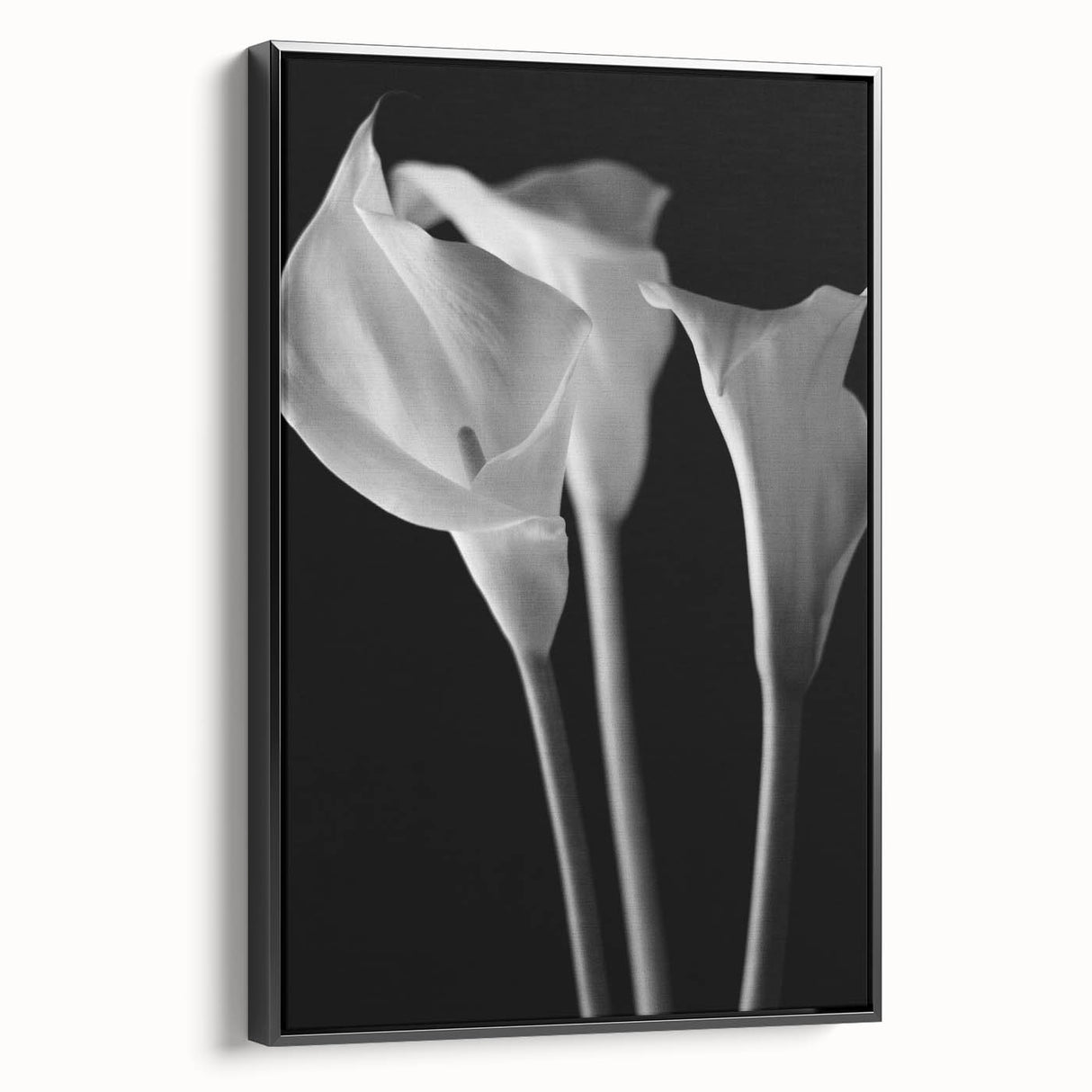 Framed botanical art print of a pink lily design on a black background, showcasing intricate details and vibrant colors, ideal for home decor enhancement.