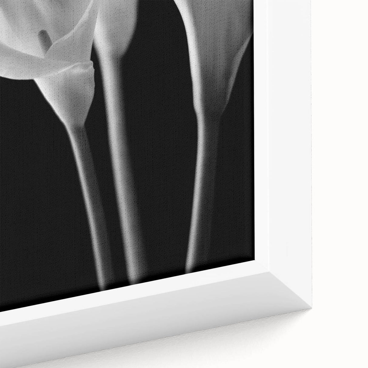 Close-up of a framed botanical wall art piece showcasing a delicate lily design in soft pastel colors, highlighting intricate details and textures, ideal for home decor.