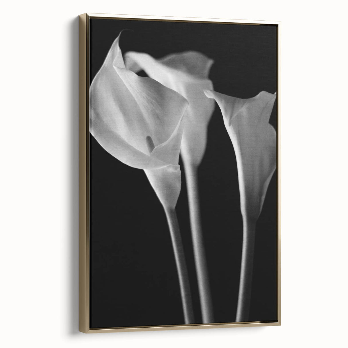 Framed botanical wall art featuring a detailed lily design with gold accents, displayed from the side to highlight its elegant finish and modern aesthetic. This piece adds a touch of sophistication to any decor.