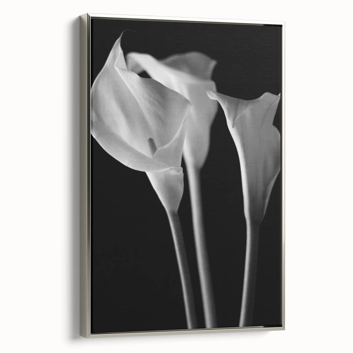 Framed canvas wall art showcasing a botanical lily design in silver, highlighting intricate floral details and elegant textures, perfect for home decor.