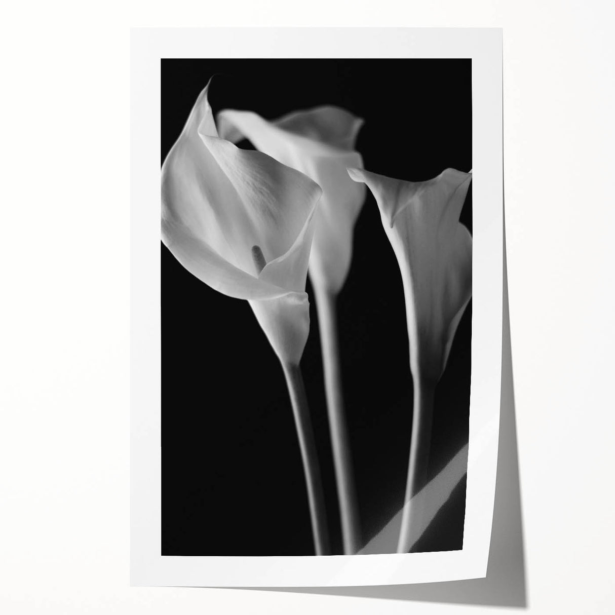 Botanical wall art featuring a vibrant lily design on a rolled canvas print, showcasing intricate details and rich colors, ideal for home decor enhancement.