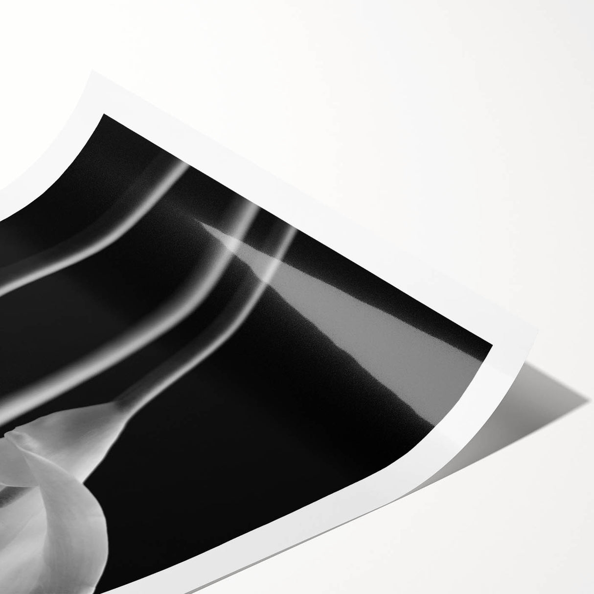 Botanical wall art print featuring a vibrant lily design with intricate details in soft pink and green hues, rolled and ready for stylish home decor.