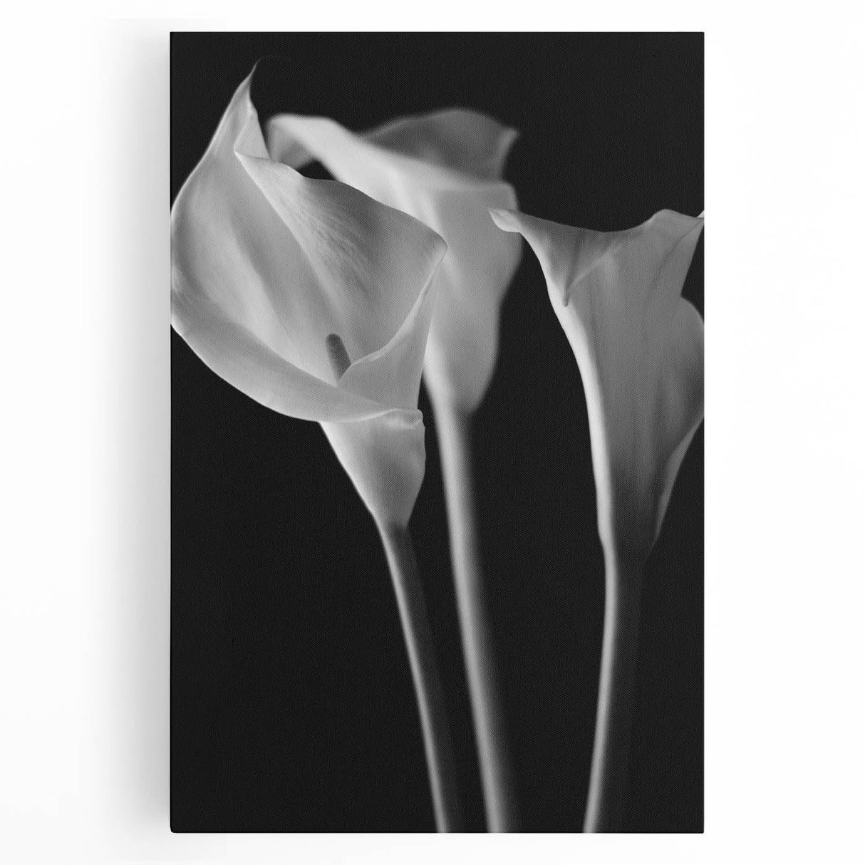 Stretched canvas wall art featuring a vibrant botanical lily design with intricate details, perfect for home decor. Ideal for floral enthusiasts and art lovers.