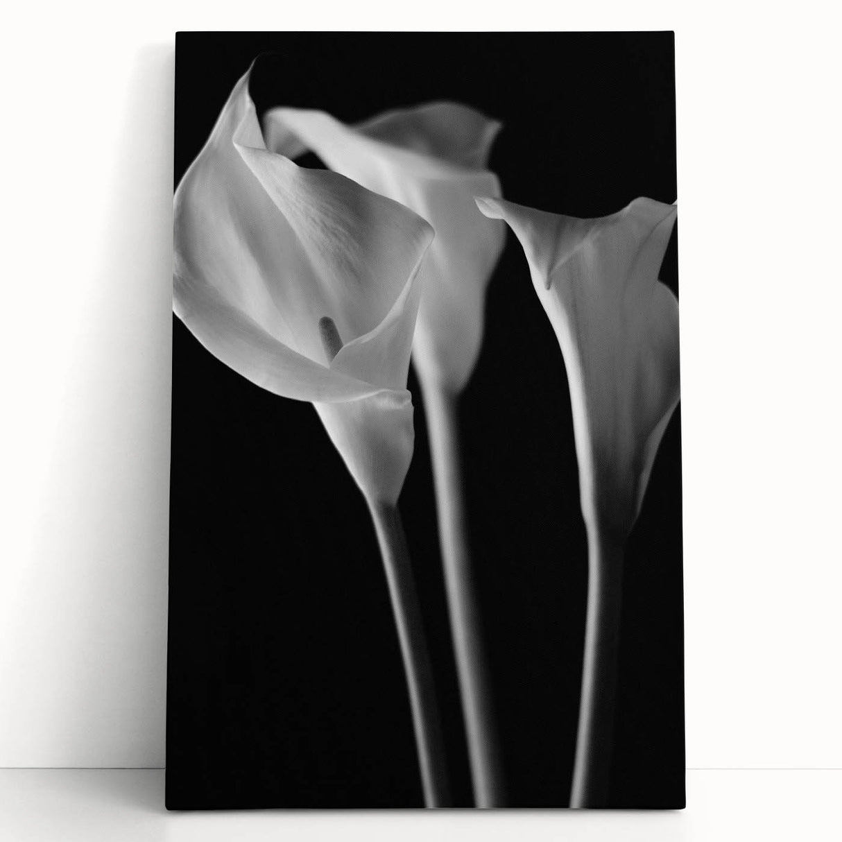Stretched canvas wall art featuring a vibrant botanical lily design, showcasing intricate floral details in lush greens and soft whites, perfect for home decor.