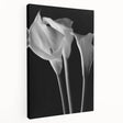 Stretched canvas featuring a vibrant botanical lily design with rich colors, showcasing intricate details and textures, ideal for home decor and art lovers.