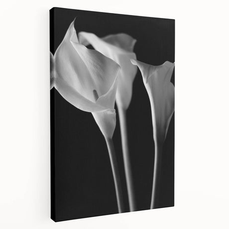 Stretched canvas featuring a vibrant botanical lily design with rich colors, showcasing intricate details and textures, ideal for home decor and art lovers.