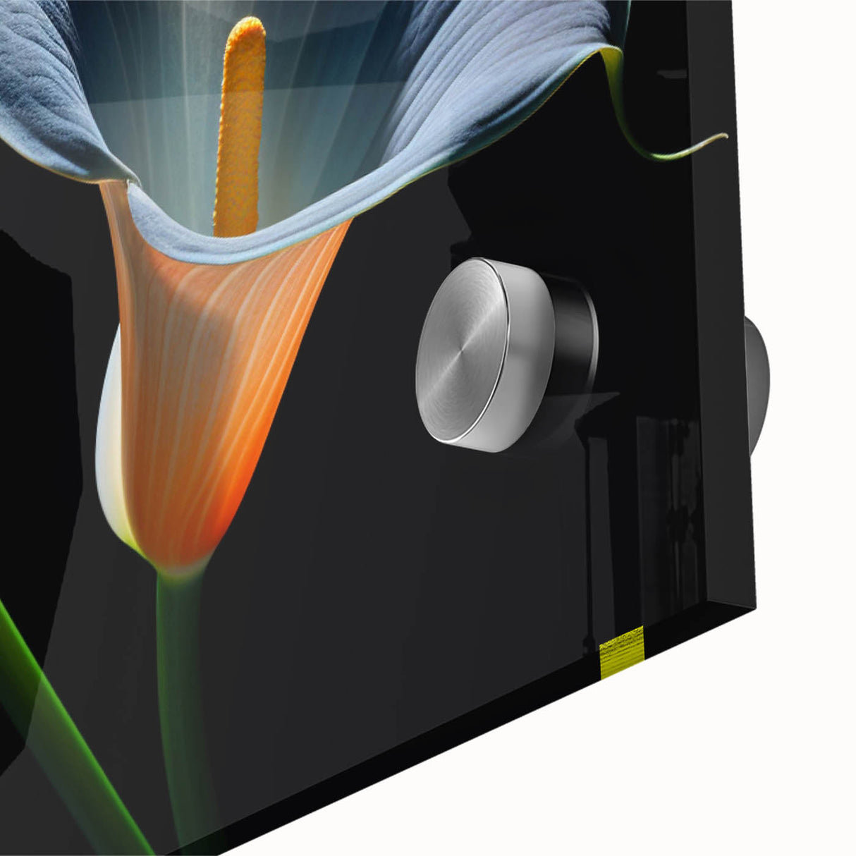 Close-up of a botanical lily wall art design featuring vibrant colors and intricate details, printed on acrylic glass, ideal for modern home decor.