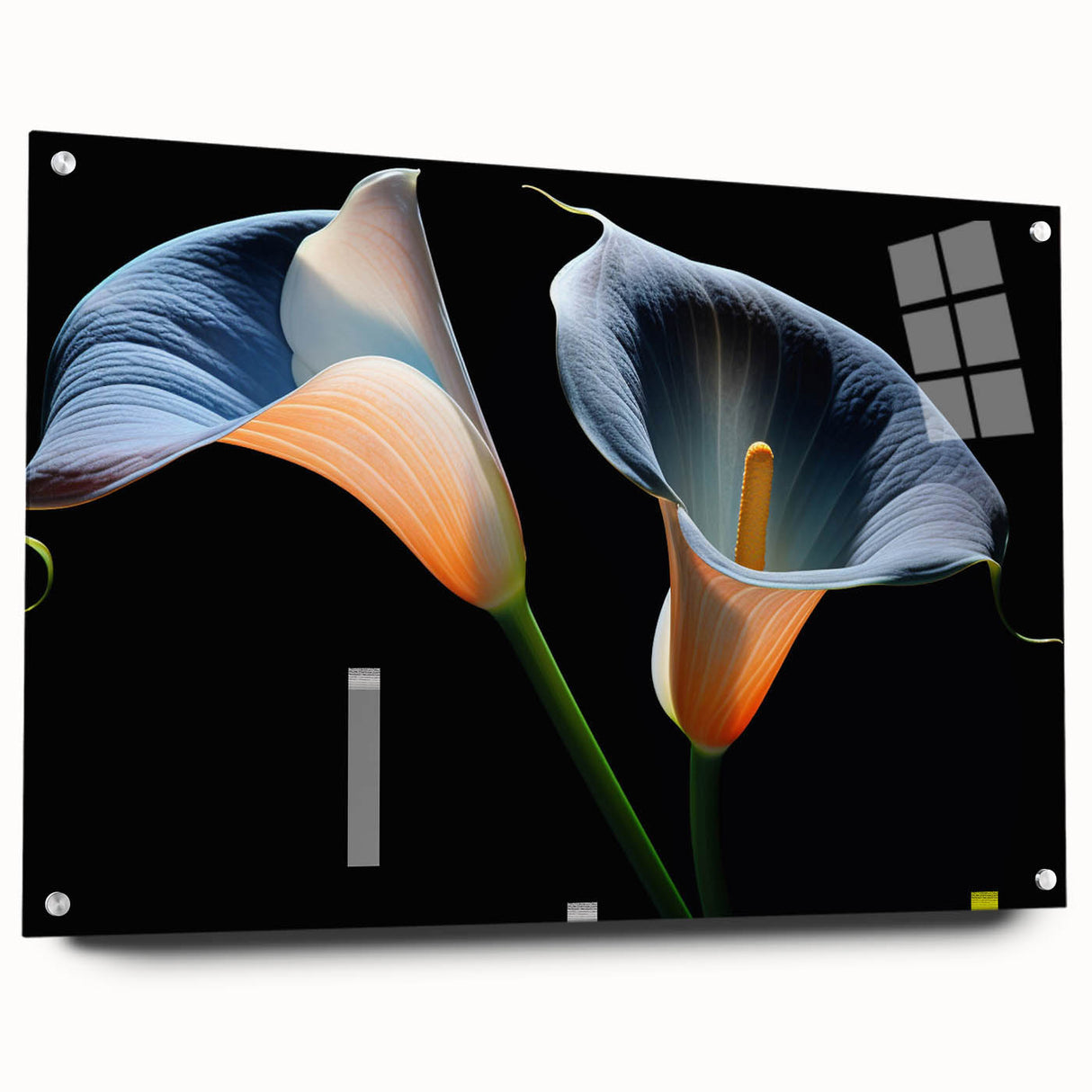 Acrylic glass wall art displaying a botanical lily design, showcasing vibrant colors and intricate details, elegantly mounted with pins for a modern aesthetic.