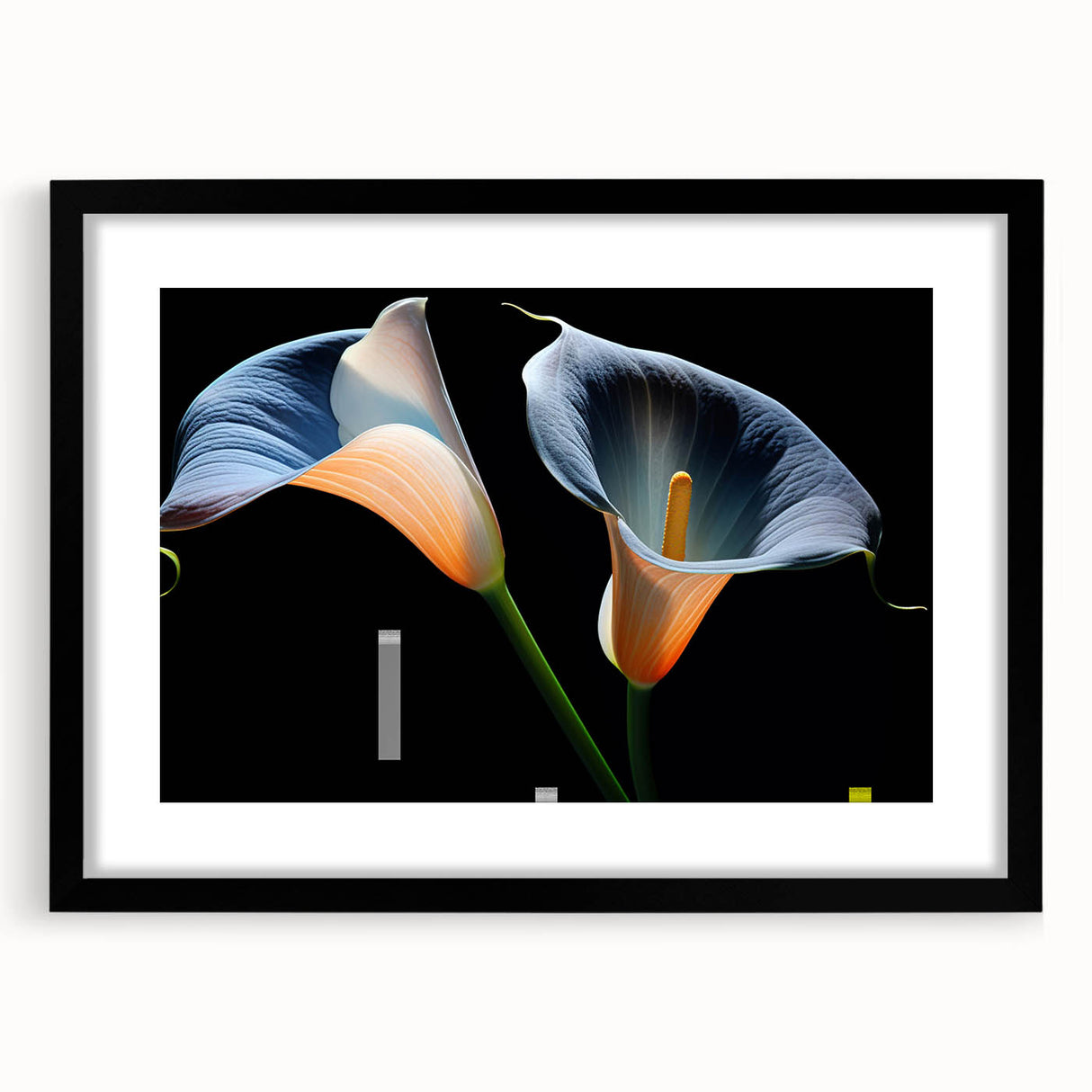 Black-framed botanical wall art featuring a delicate lily design, elegantly matted to enhance its beauty, ideal for modern home decor.