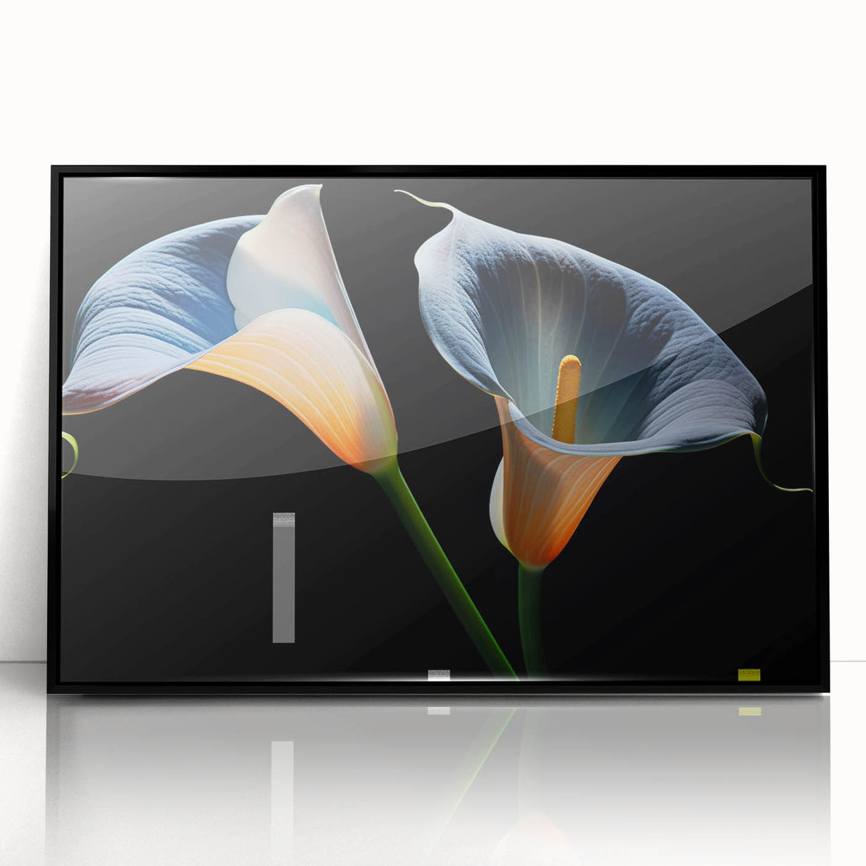 Framed botanical wall art featuring a detailed black and white lily design, set against a sleek black frame, ideal for modern home decor and floral enthusiasts.