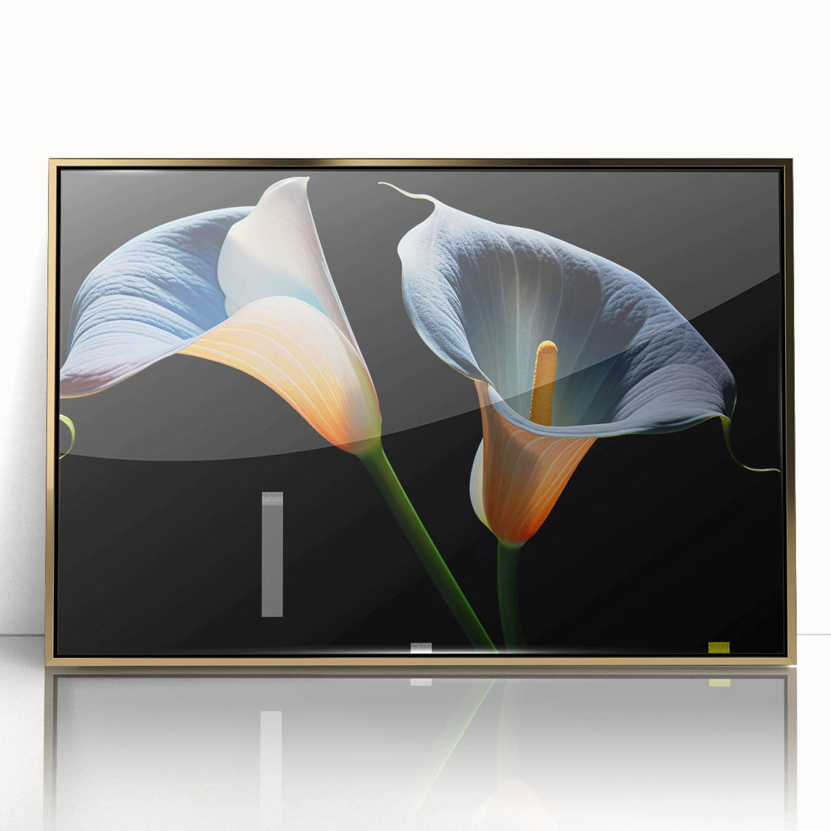 Framed wall art featuring a botanical lily design in vibrant colors, elegantly encased in gold acrylic, perfect for enhancing modern home decor.