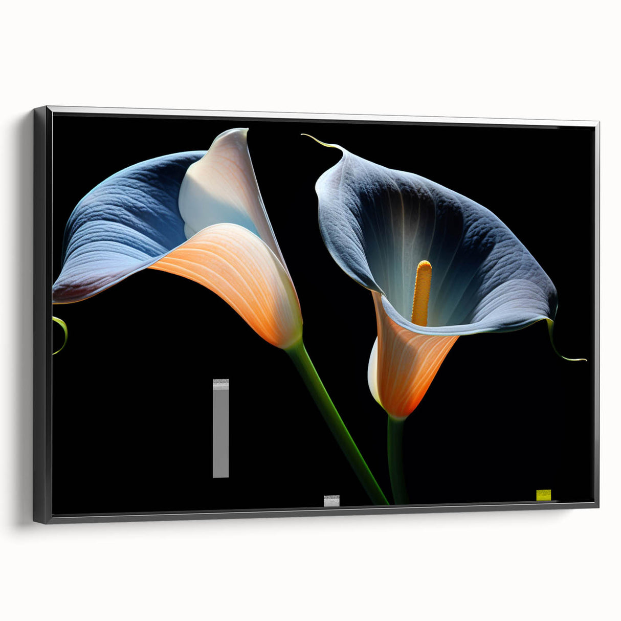 Framed canvas wall art showcasing a botanical lily design, featuring a black frame and side view display, perfect for enhancing home decor with elegance.