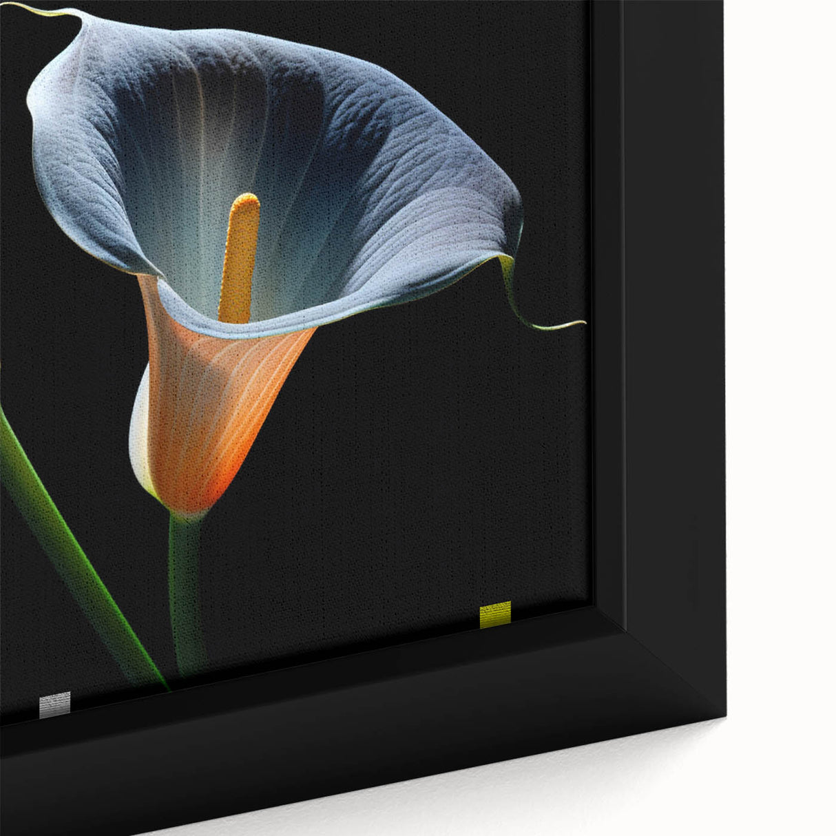 Framed close-up of a botanical lily wall art design on canvas, showcasing vibrant colors and intricate details, perfect for home decor and floral enthusiasts.