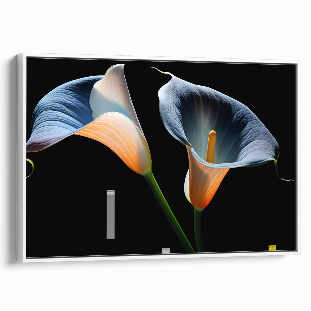Framed wall art showcasing a botanical lily design on canvas, with a white frame and a side view highlighting its elegant colors and intricate details, perfect for home decor.