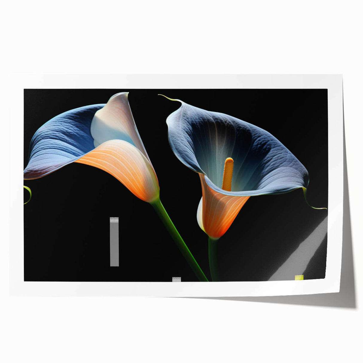 Botanical wall art print showcasing a detailed illustration of vibrant lilies in shades of pink and white against a soft green background, packaged for easy display.