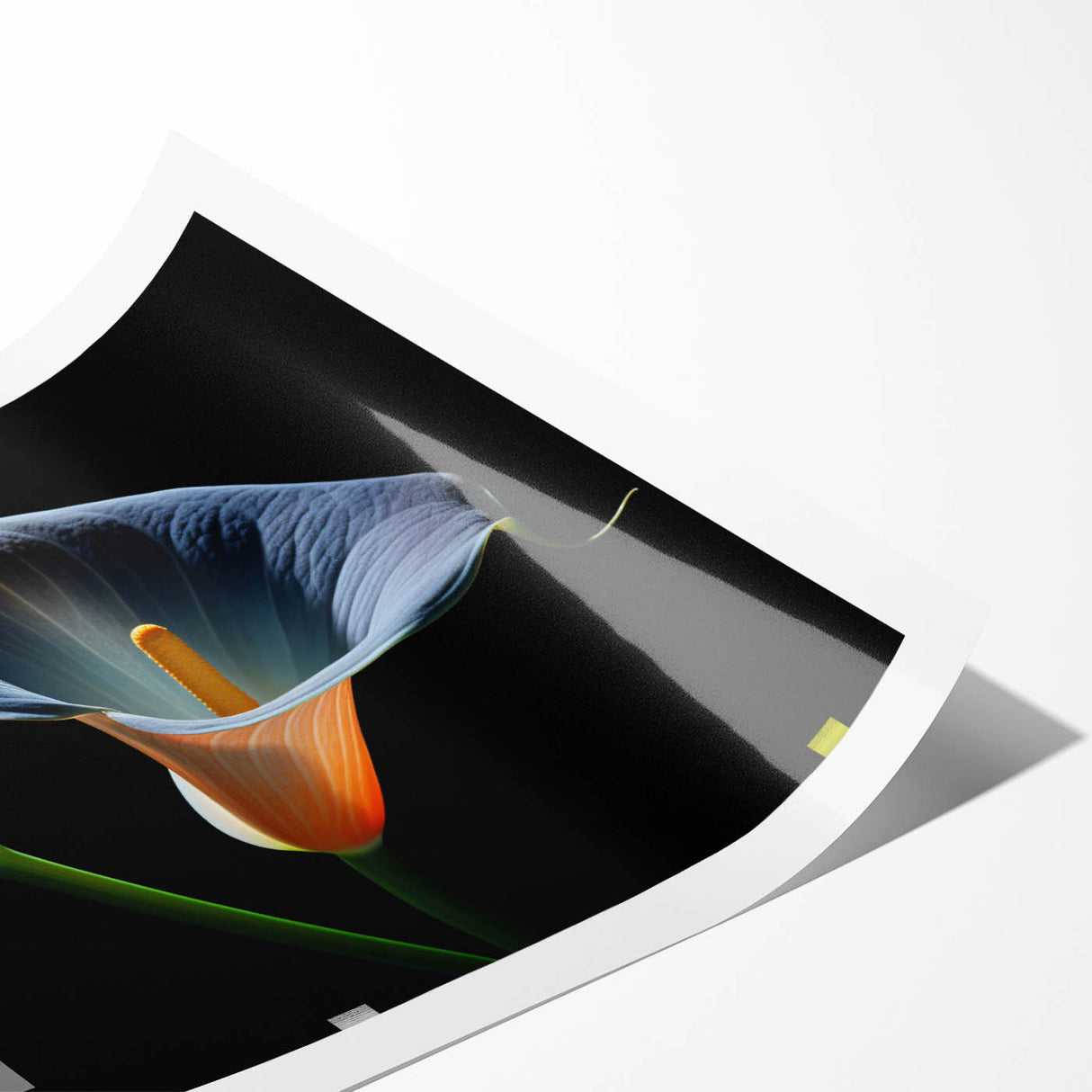 Botanical wall art print featuring a detailed illustration of vibrant lilies in shades of pink and white, perfect for home decor or floral-themed spaces.