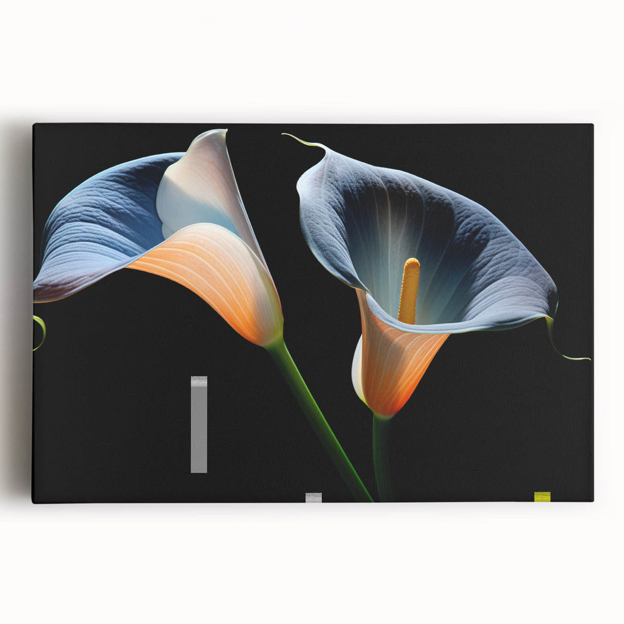 Stretched canvas wall art featuring a vibrant botanical lily design in rich colors, perfect for adding a touch of nature-inspired elegance to home decor.