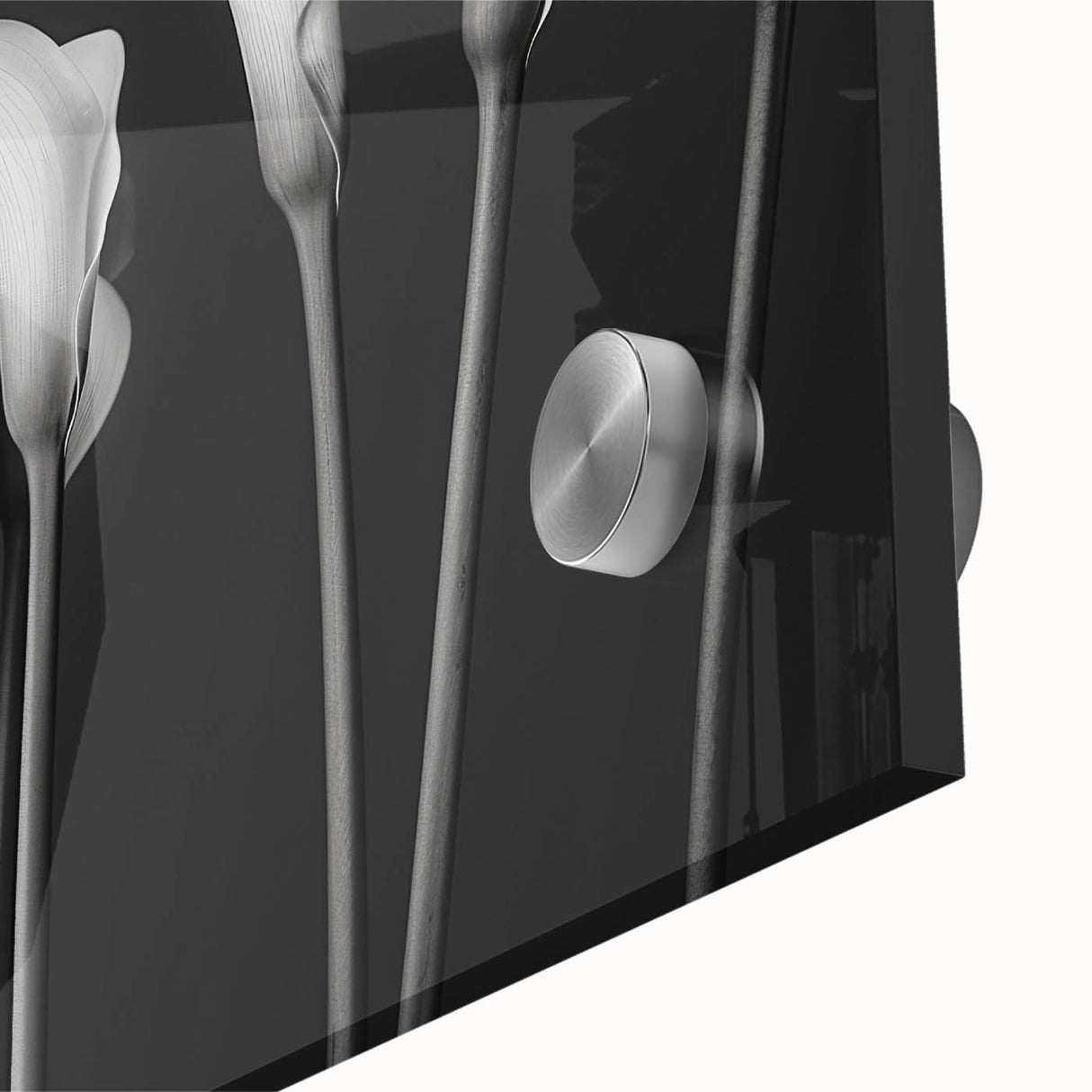 Close-up of a vibrant botanical lily wall art design printed on acrylic glass, showcasing intricate floral details and vivid colors, perfect for home decor enhancement.