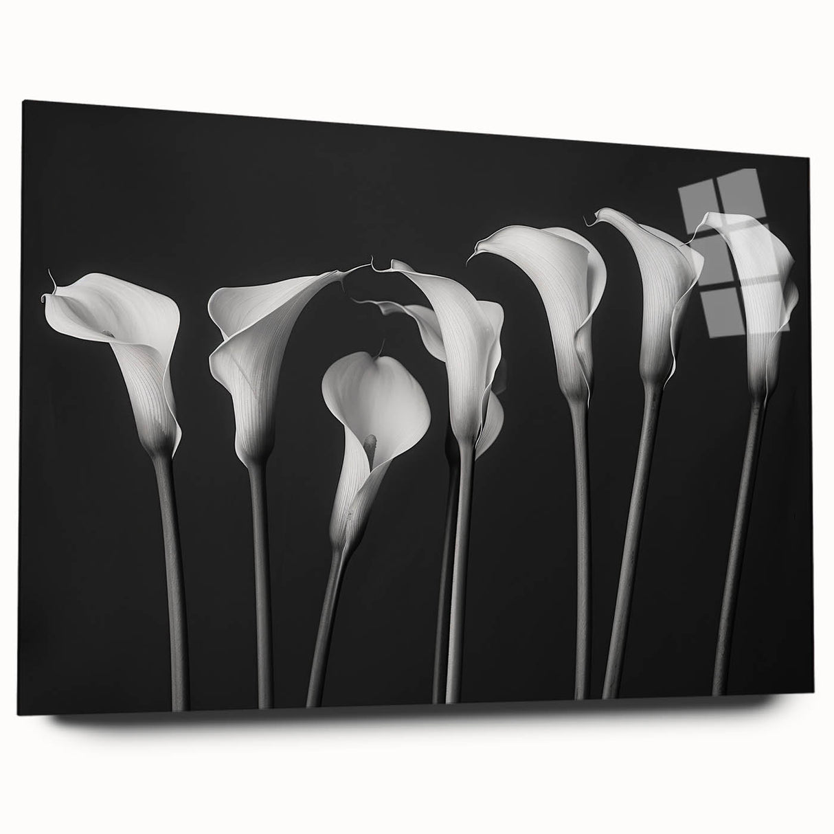 Close-up of a botanical wall art collection featuring a vibrant lily design, displayed in acrylic glass with a sleek side view, perfect for modern decor.