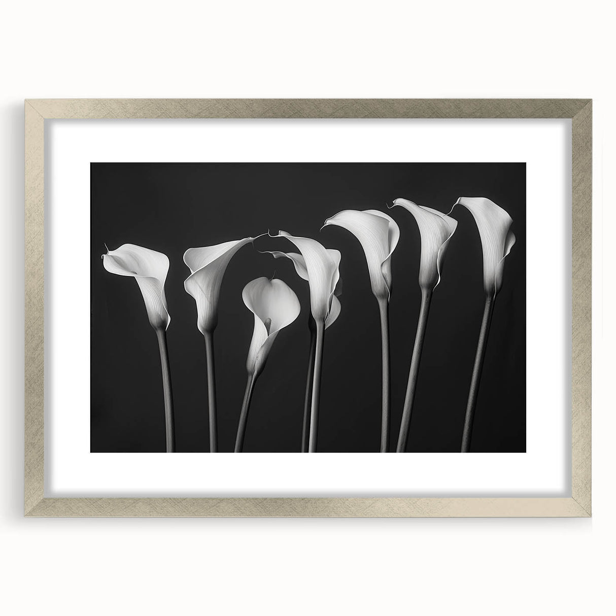 Botanical wall art collection featuring a silver-framed lily design with a mat, showcasing delicate floral details and elegant styling, perfect for home decor.