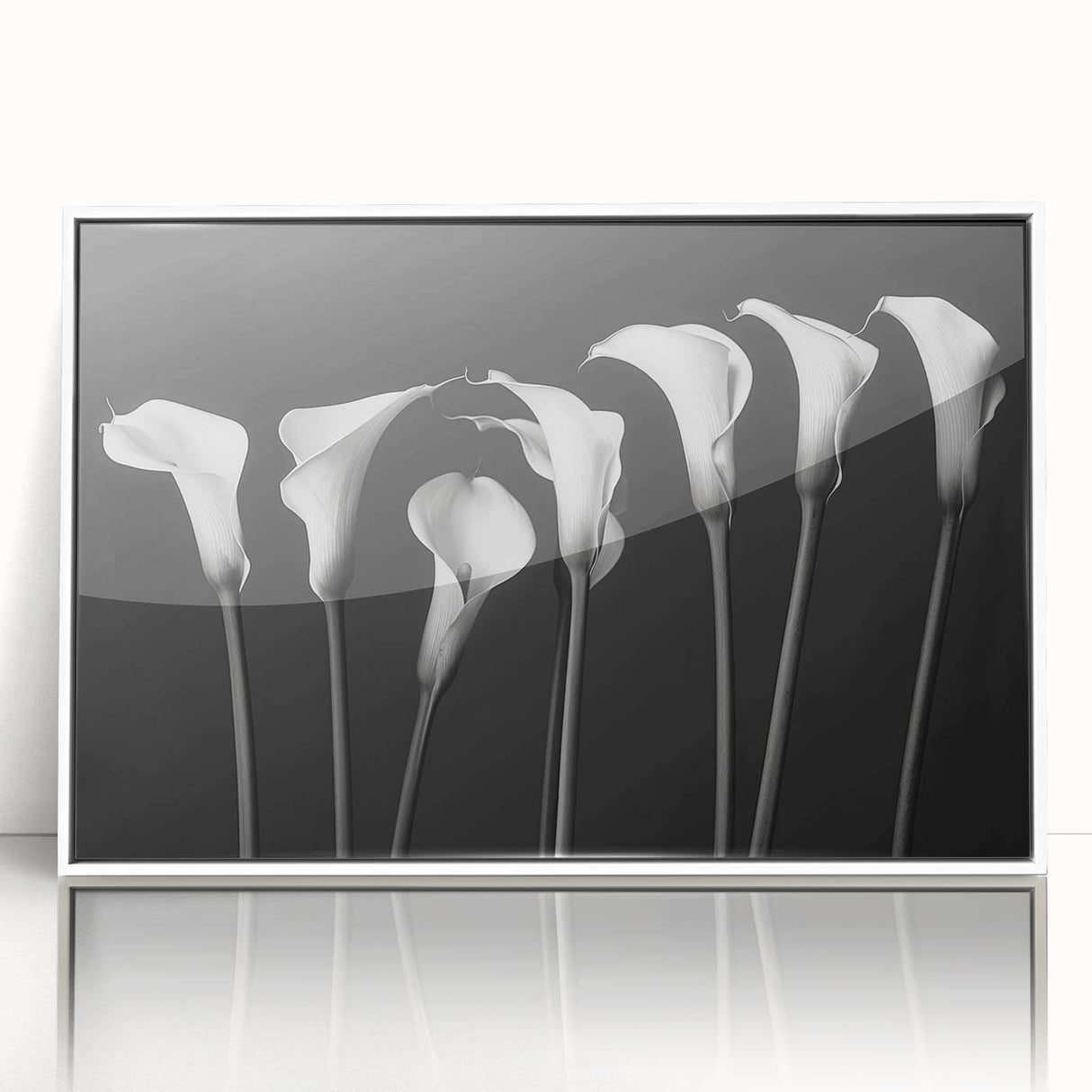Framed wall art featuring a botanical lily design in vibrant colors, displayed with a white frame, perfect for home decor or office decoration.