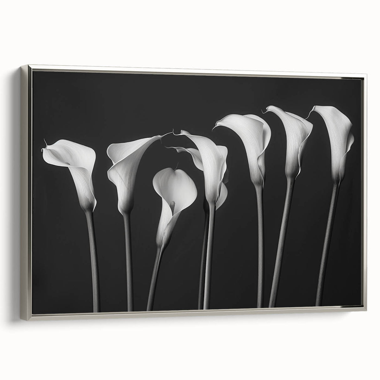 Framed canvas wall art featuring a botanical lily design in elegant silver frame, showcasing vibrant floral details and intricate textures, ideal for home decor.