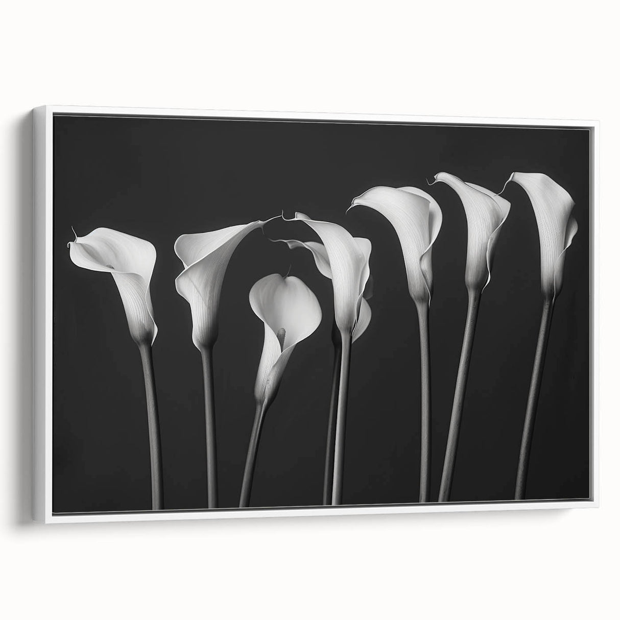 Framed canvas wall art featuring a botanical lily design in vibrant colors, set against a white background, showcasing elegant floral details and modern decor style. Ideal for enhancing home interiors with a touch of nature-inspired elegance.