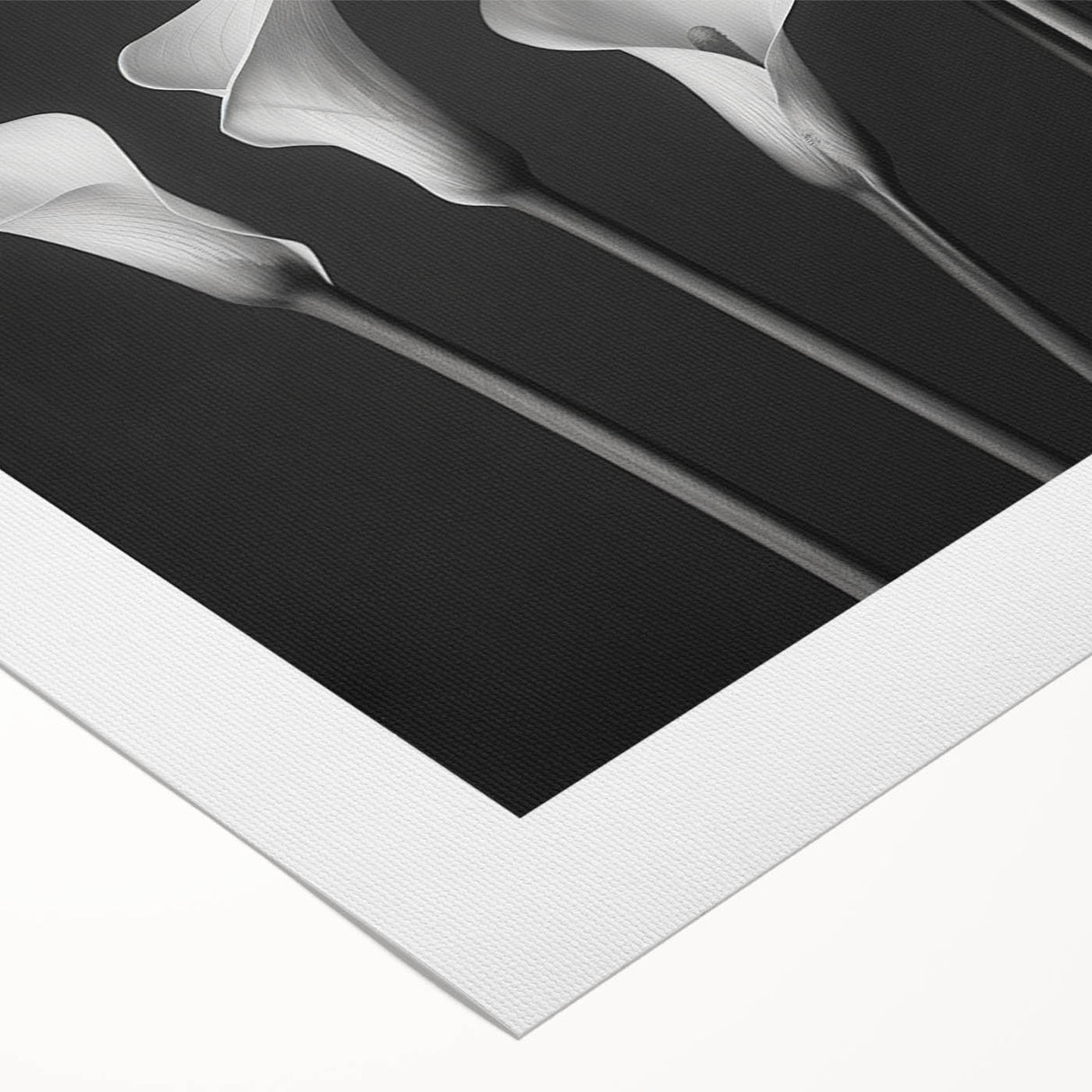 Botanical wall art showcasing a vibrant lily design on rolled canvas, featuring intricate floral details and rich colors, ideal for home decoration.