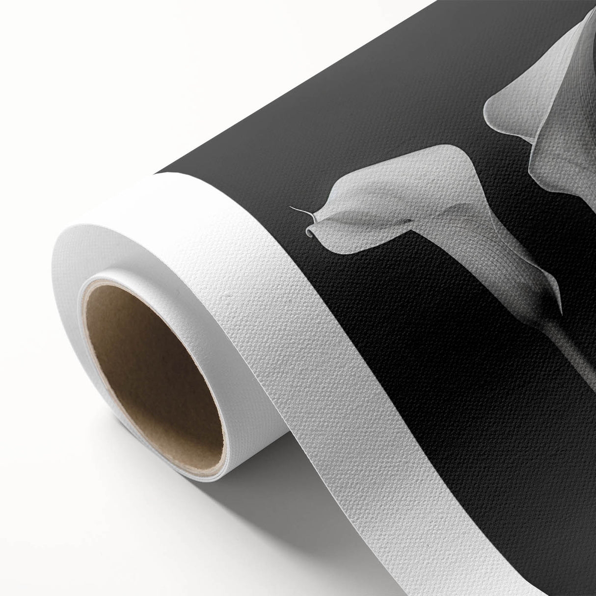 Botanical wall art print showcasing a delicate white lily against a soft green background, rolled and ready for display in any nature-inspired décor. Perfect for floral enthusiasts and home decorators looking to add a touch of elegance.