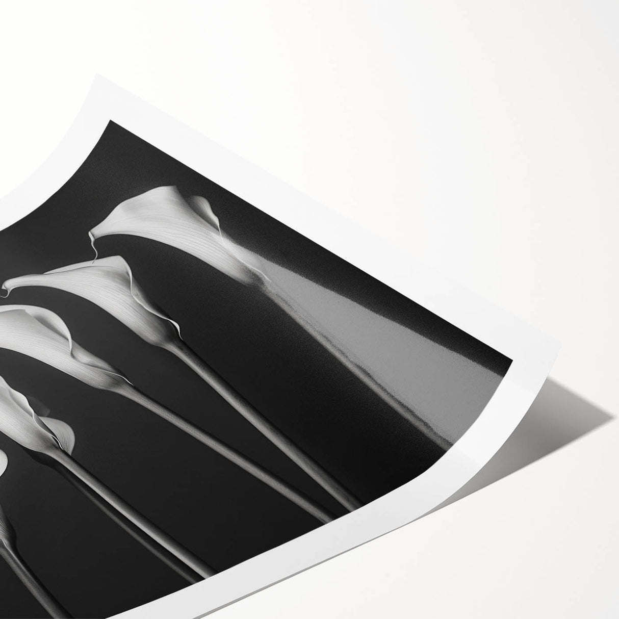 Botanical wall art print featuring a vibrant lily design in shades of pink and green, elegantly rolled for easy display and shipping. Ideal for floral decor enthusiasts.