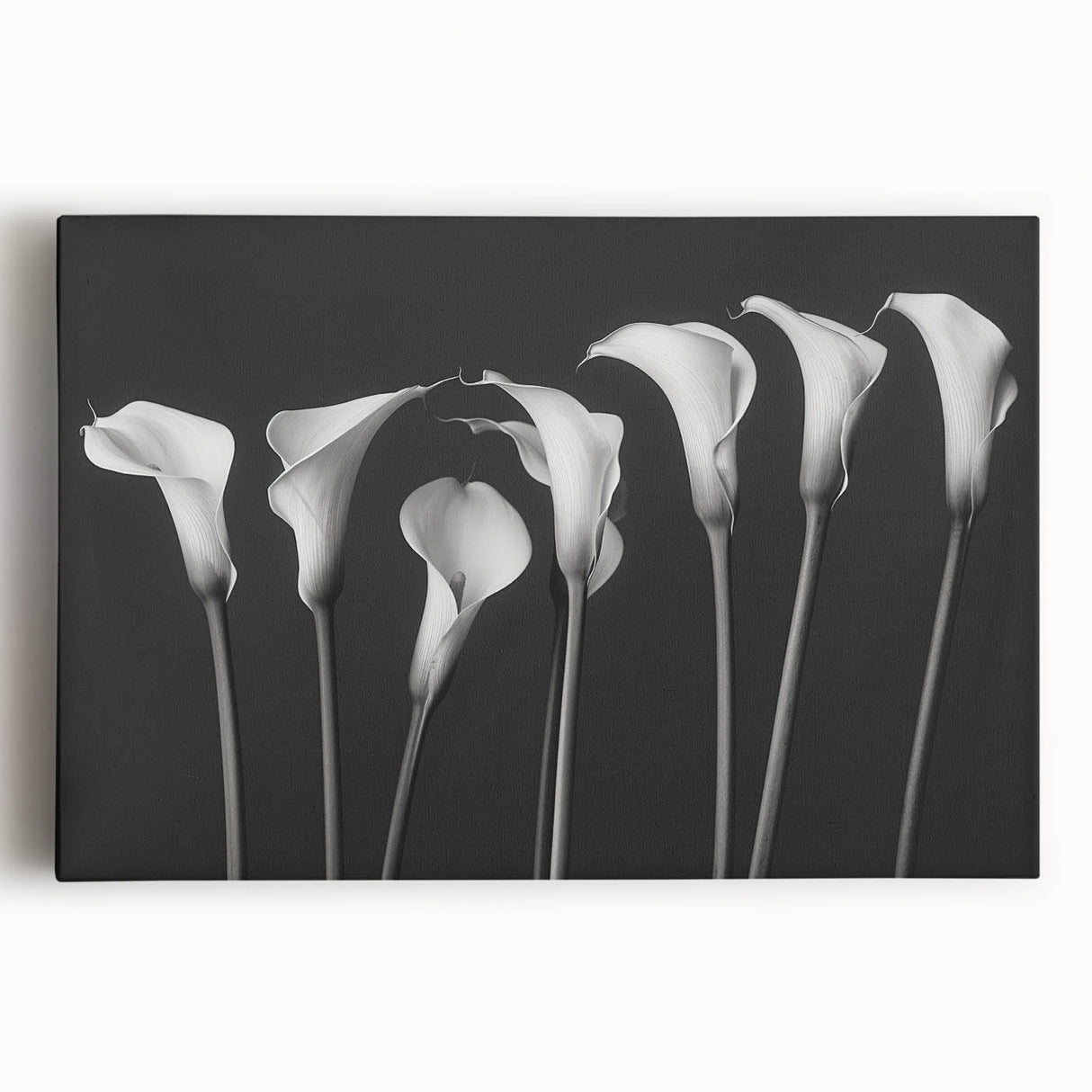 Stretched canvas wall art showcasing a vibrant botanical lily design in rich colors, perfect for adding elegance to home decor. Ideal for floral enthusiasts.