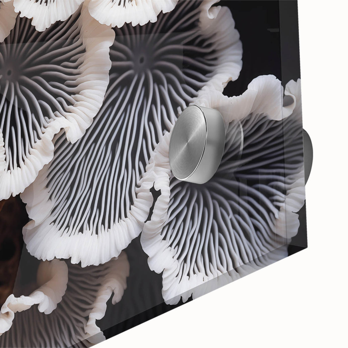 Close-up of a vibrant botanical wall art design showcasing marine plants in rich colors, printed on acrylic glass, perfect for home decor and nature lovers.