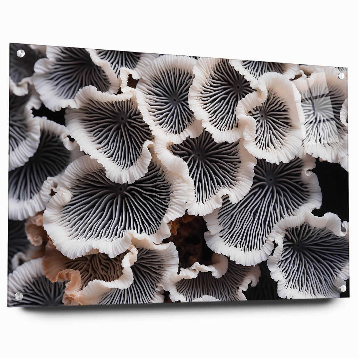 Botanical wall art design showcasing an array of colorful marine plants, displayed in a stylish acrylic glass frame with decorative pins, perfect for nature-inspired decor.