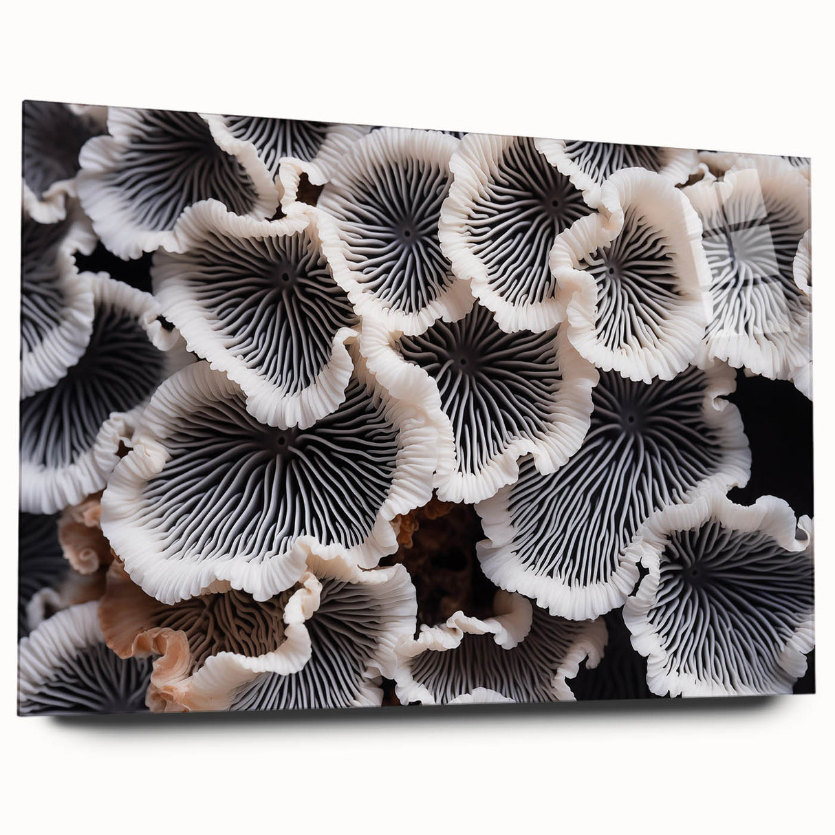 Botanical wall art featuring a vibrant marine plants design printed on acrylic glass, displayed in a side view, highlighting its intricate details and colors. Ideal for coastal-themed decor.